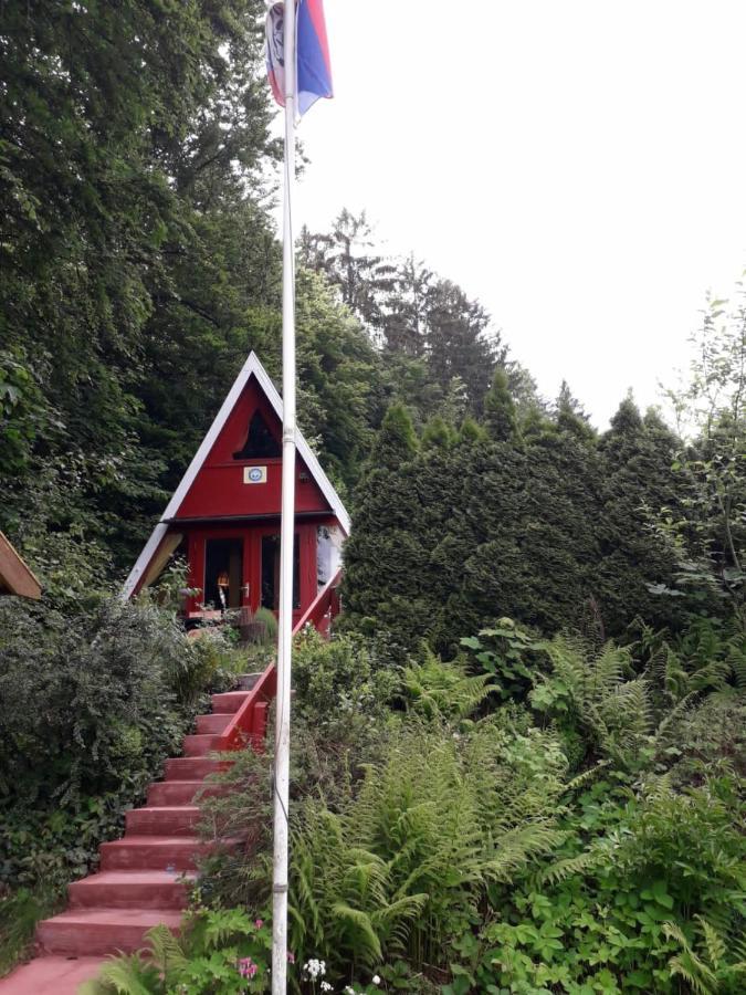 Ferienhaus Sommerland Auszeithütte Freyung Exterior foto